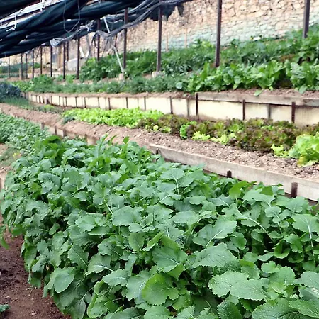 Fattoria Attiva